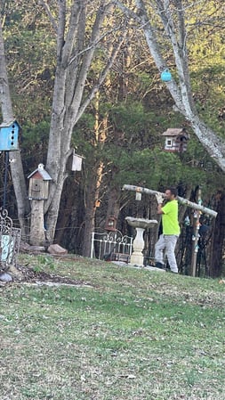 Images Victory One Tree Service & Stump Grinding