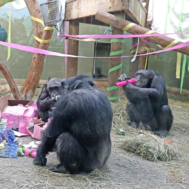 Images Rolling Hills Zoo