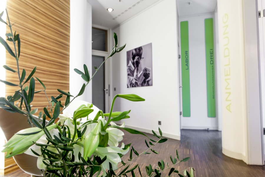 Dr. med. dent. Christine Schubert, Eichhornstr. 2 in Berlin