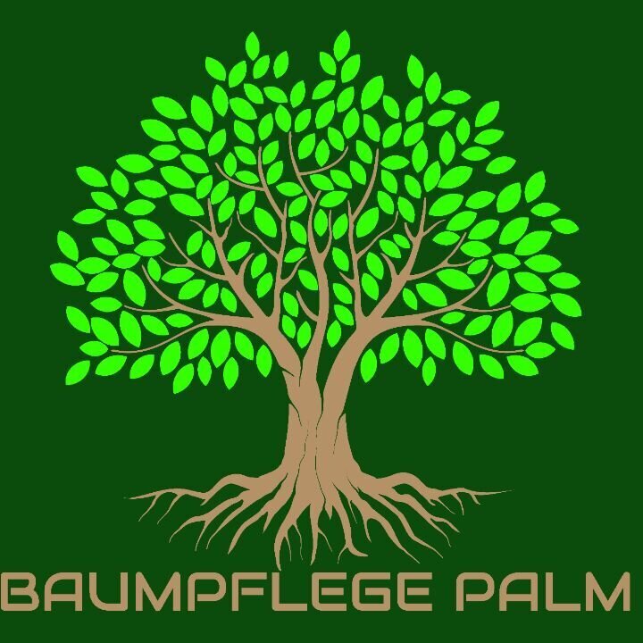 Baumpflege Palm  