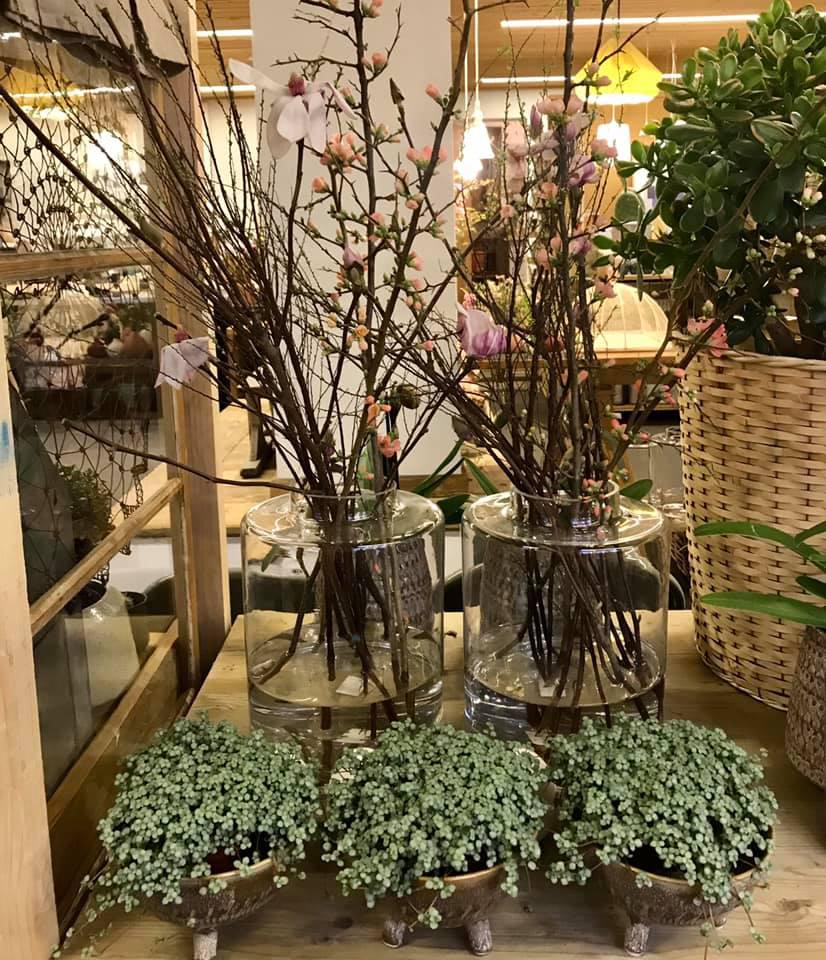 bluamaundmeh, Ketschelenstraße 1 in Feldkirch