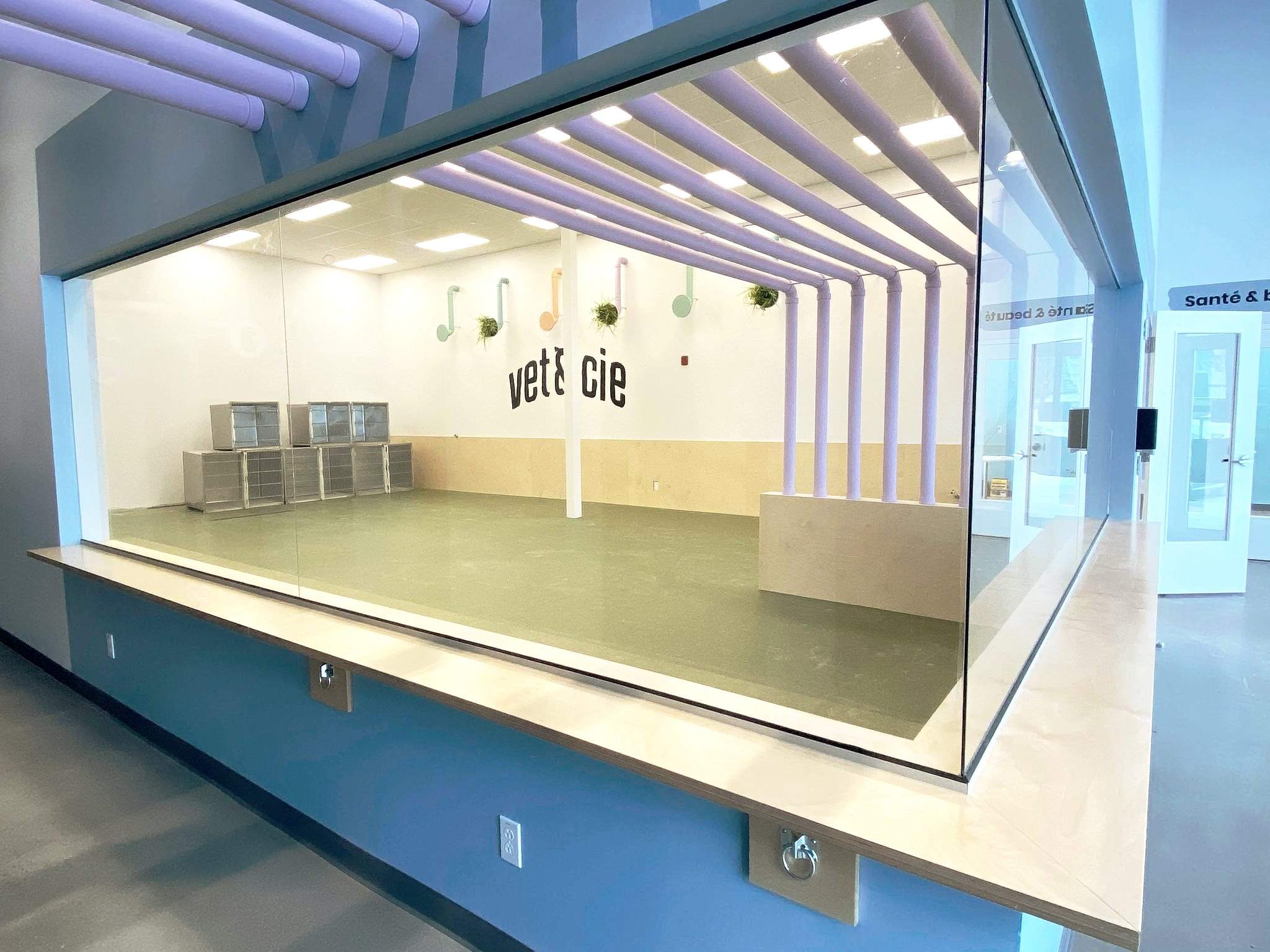 Images Vet & Cie Brossard | Vétérinaire indépendant & québécois, Toilettage, Parc canin, Urgences chiens et chats | Montérégie