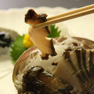 Images 日月館