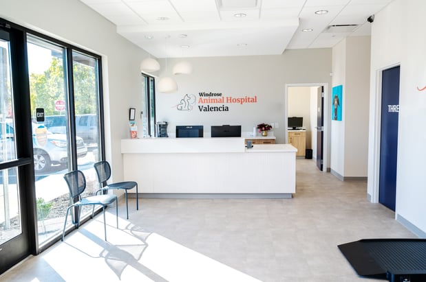 Images Windrose Animal Hospital Valencia