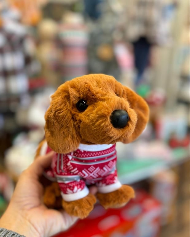 Images Toodleydoo Toys