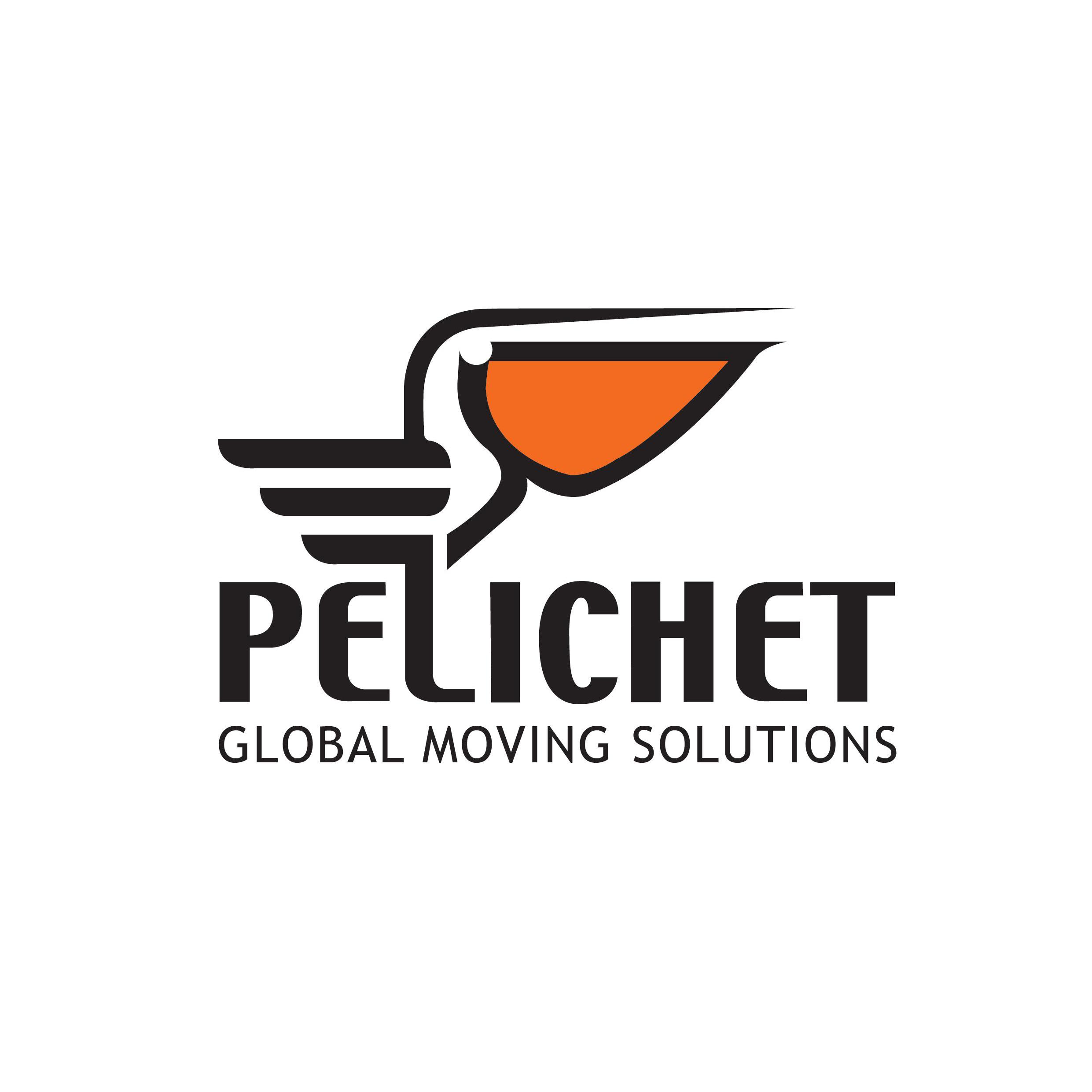 PELICHET NLC SA Logo