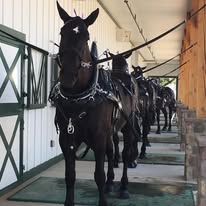 Center Peace Farm Image