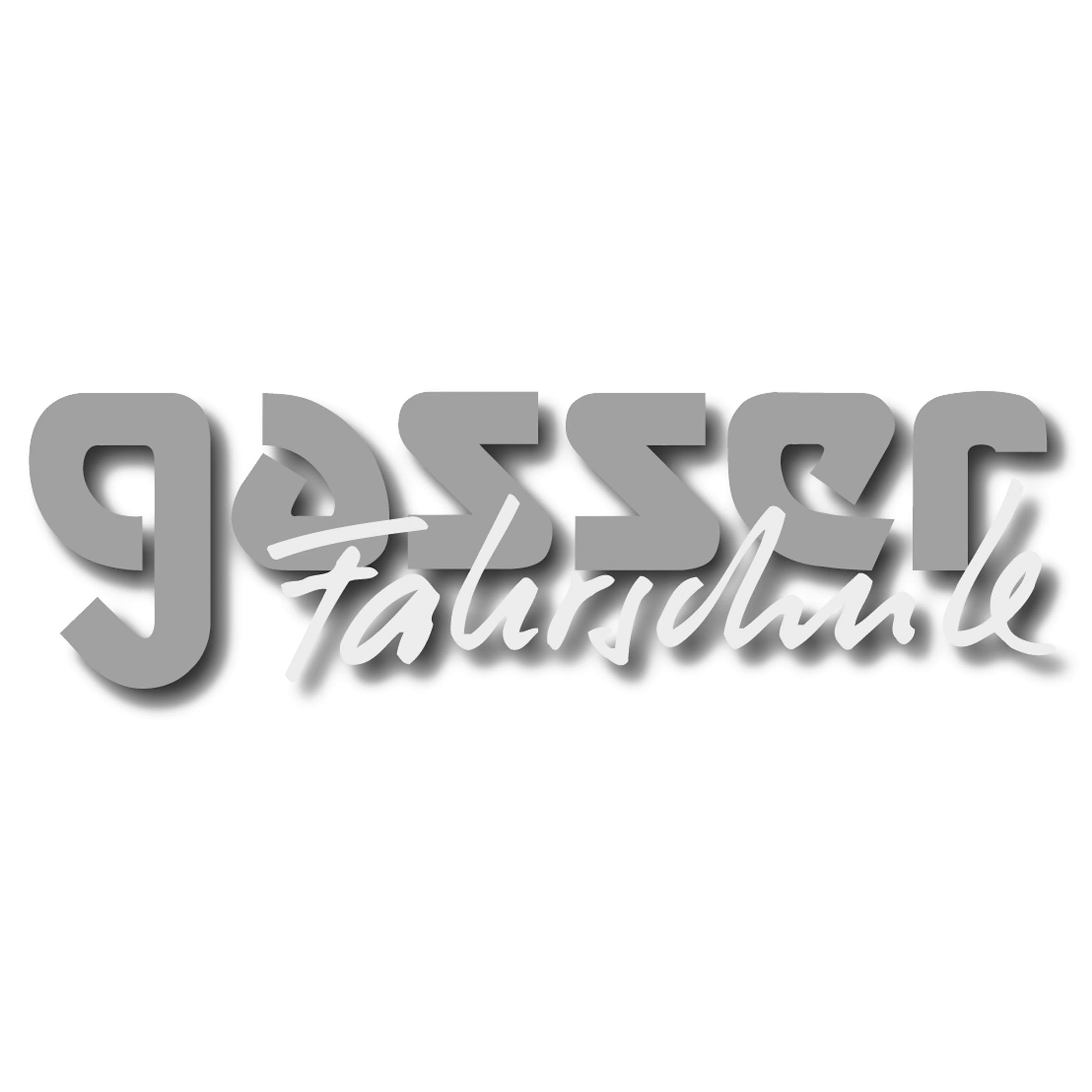 Gasser Fahrschule Logo