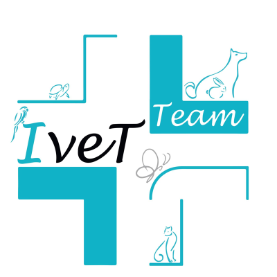 Centro Veterinario Ivet Team Logo