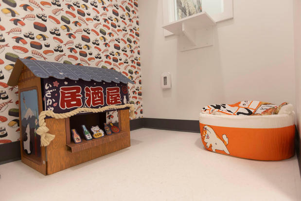 Images Cozy Cat Suites