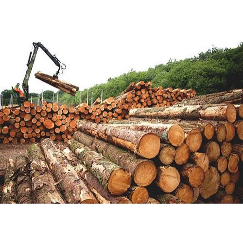 McGee Sawmill and Woodworking Logo