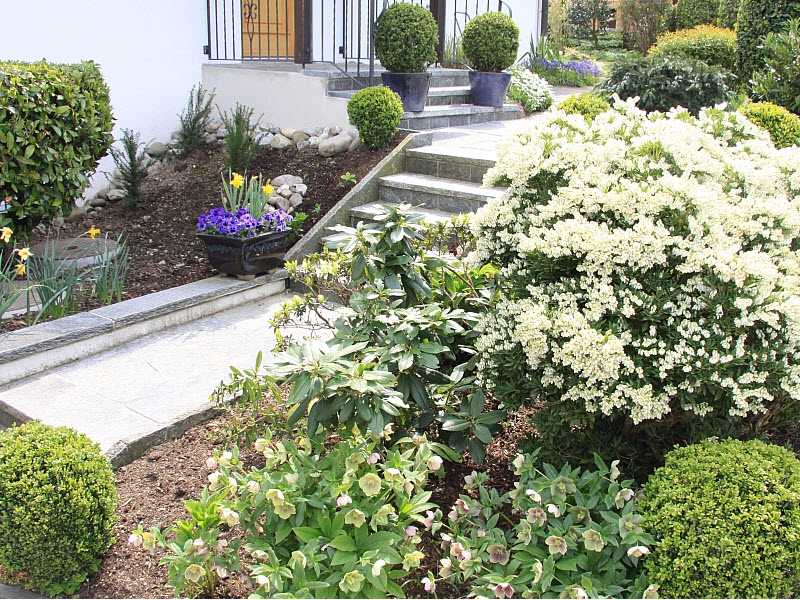 Fuchs & Höhn, Obere Bergstrasse 19 in Wädenswil