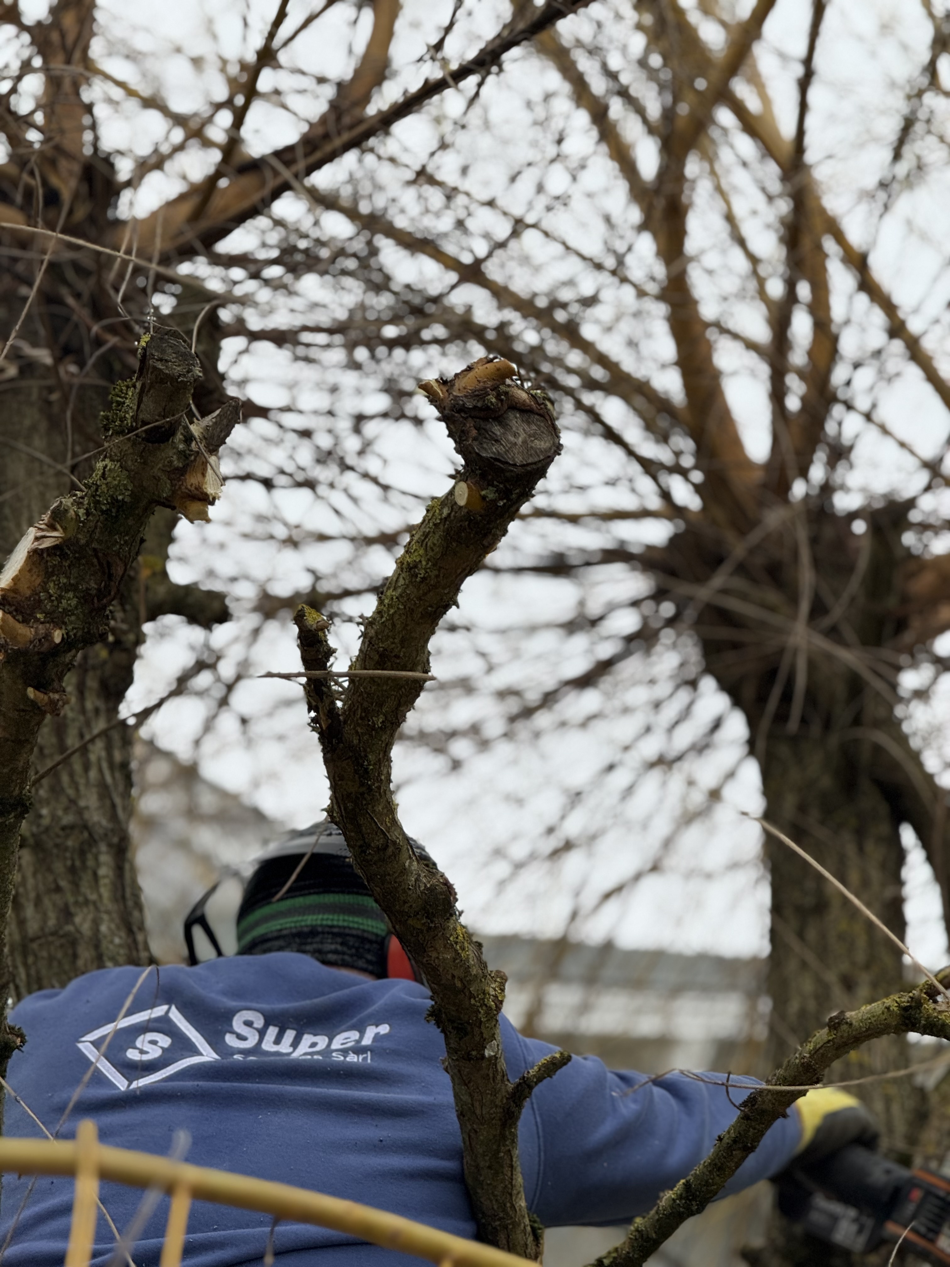 Bilder SuperServices Sàrl