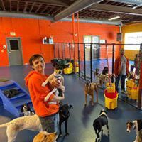 Urban Pooch Training and Fitness Center Photo