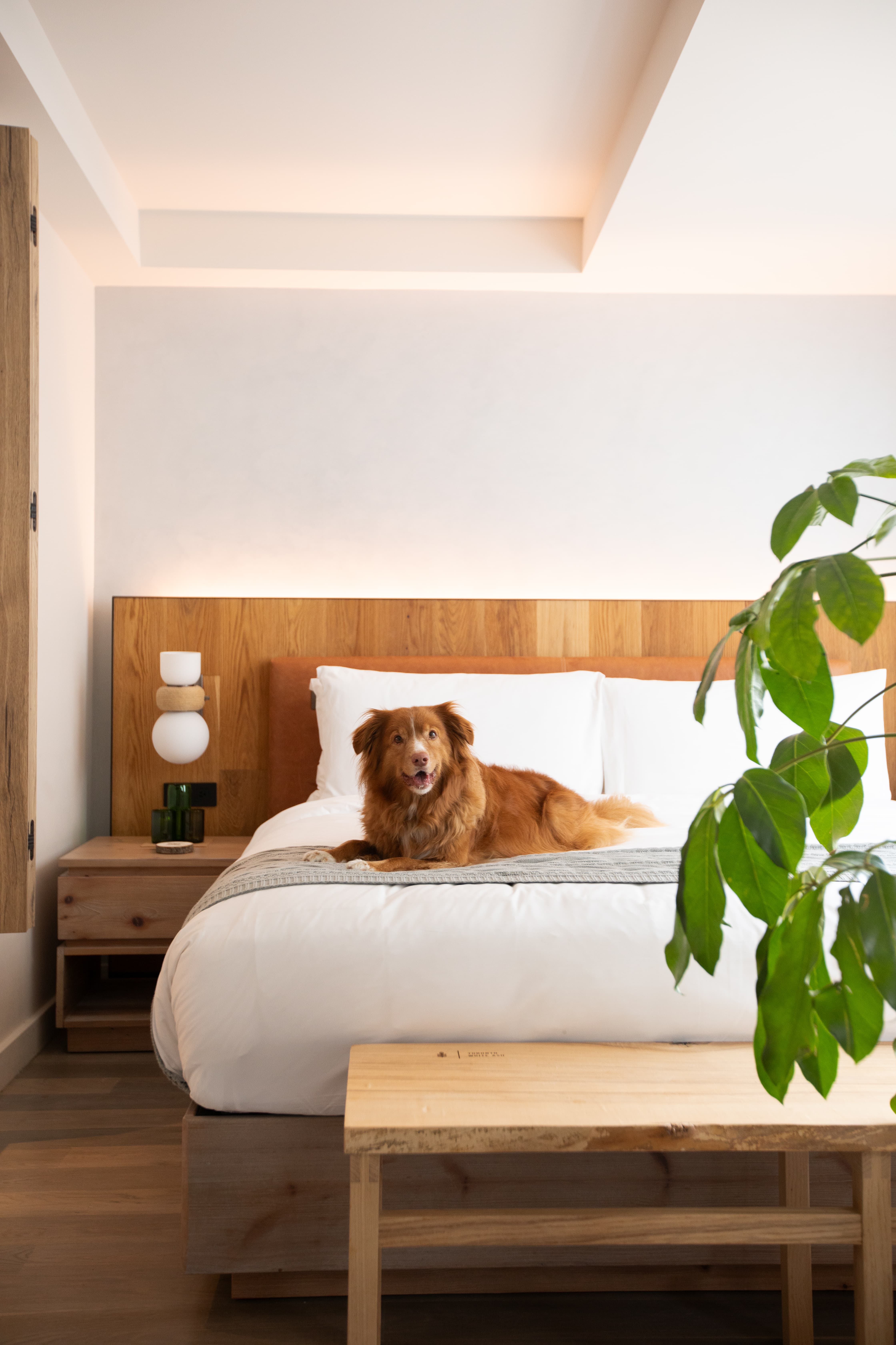 Images 1 Hotel Toronto