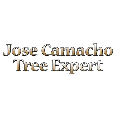Jose Camacho Tree Expert