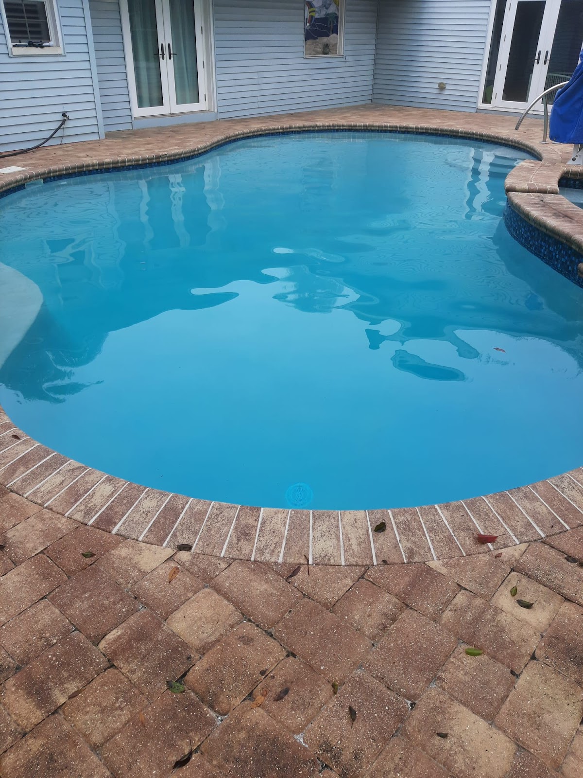 Freeform residential swimming pool with bright blue water, brick paver decking, and a private backyard setting.