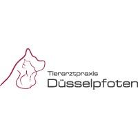 Tierarztpraxis Düsselpfoten Dr. Hoelper & Dr. Wuchert Tierarzt Düsseldorf in Düsseldorf - Logo