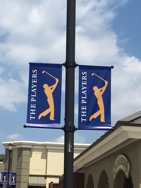 Images Opulence of Southern Pines