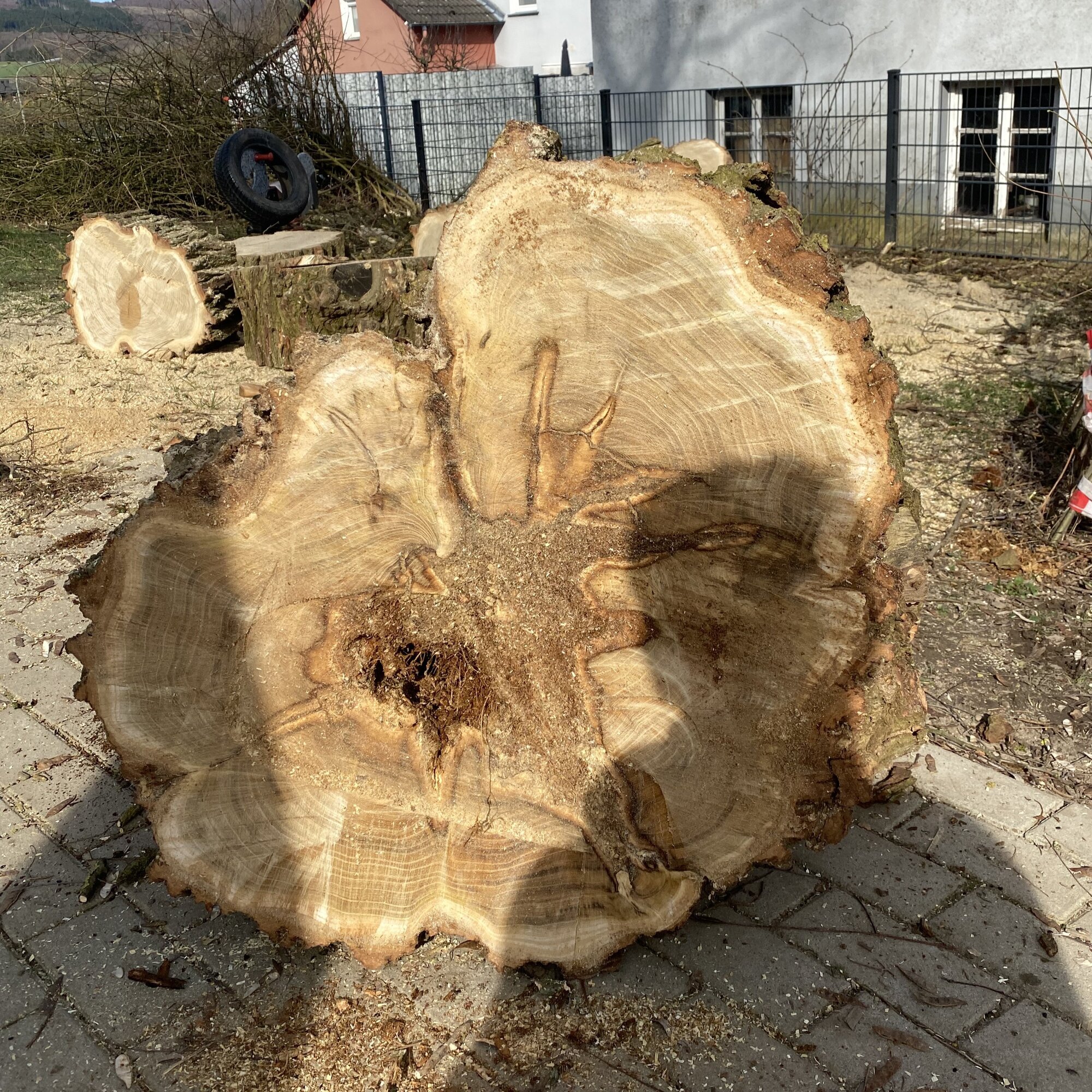 Baumdienst Behan, Im Winkel 22 in Schalksmühle