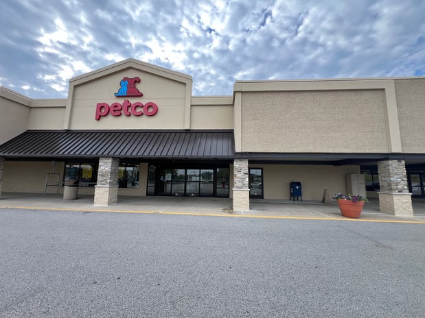 Images Petco Grooming