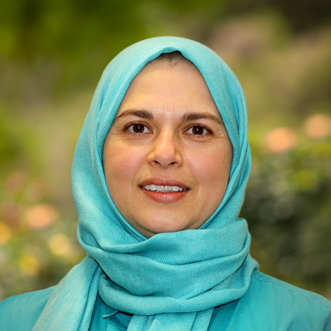 Haleh Sheikholeslami