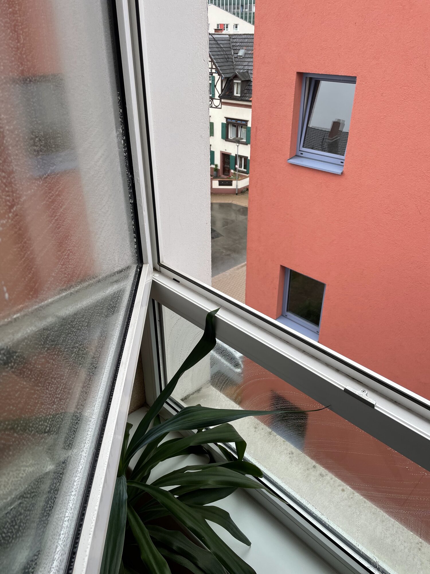 Gebäudereinigung Fiehn in Friesenheim