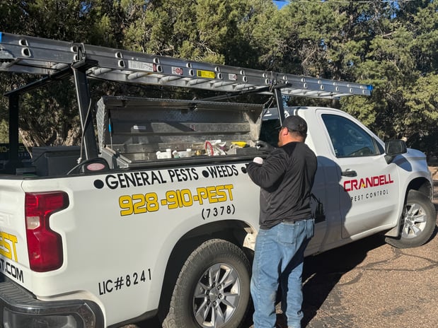 Images Crandell Pest Control