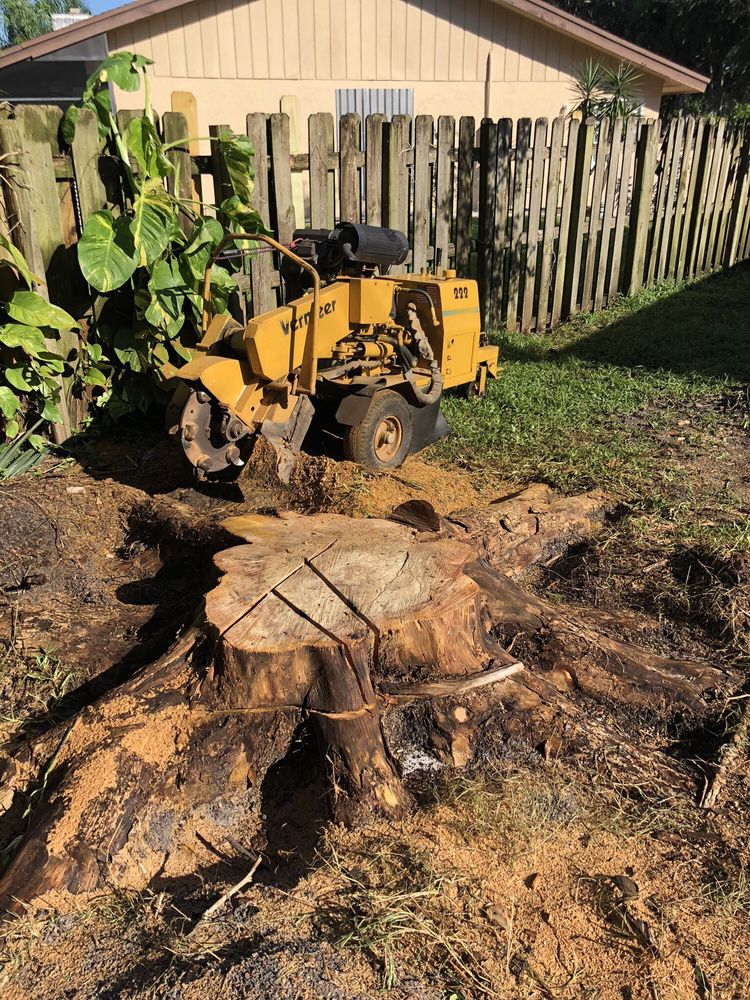 Pepe Brothers Landscaping Logo