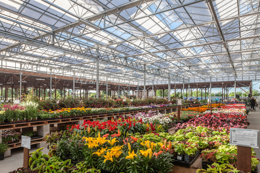 Our large greenhouse filled with annuals, perennials, vegetables, herbs, groundcover, succulents & more.