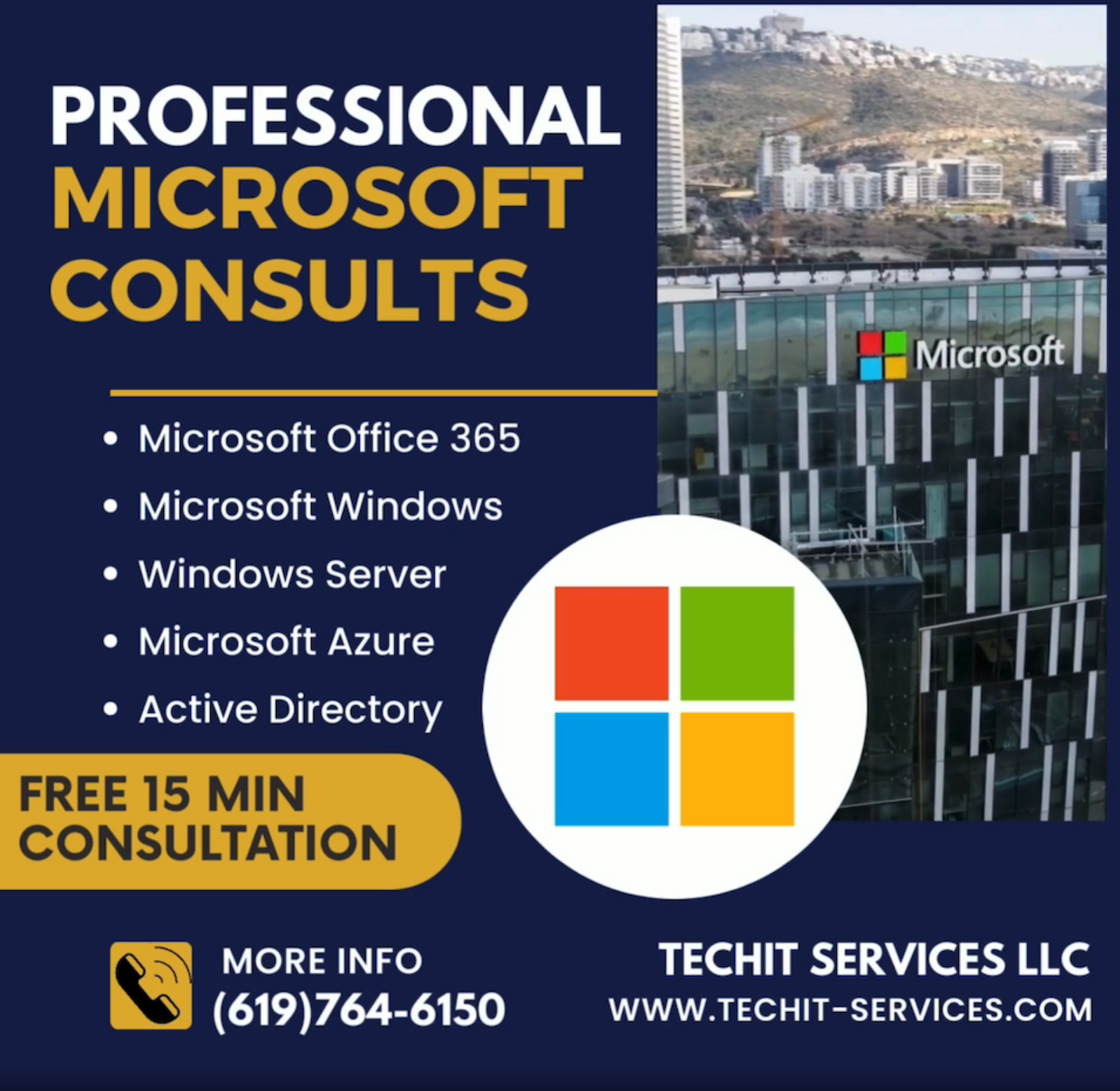 Professional Microsoft Consults