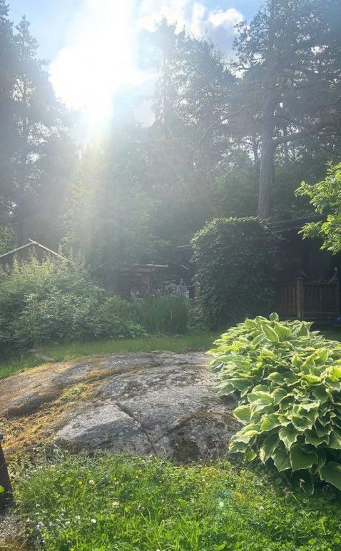 Images Berg Medial Kommunikation