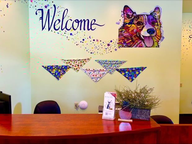 Images Mono Way Veterinary Hospital