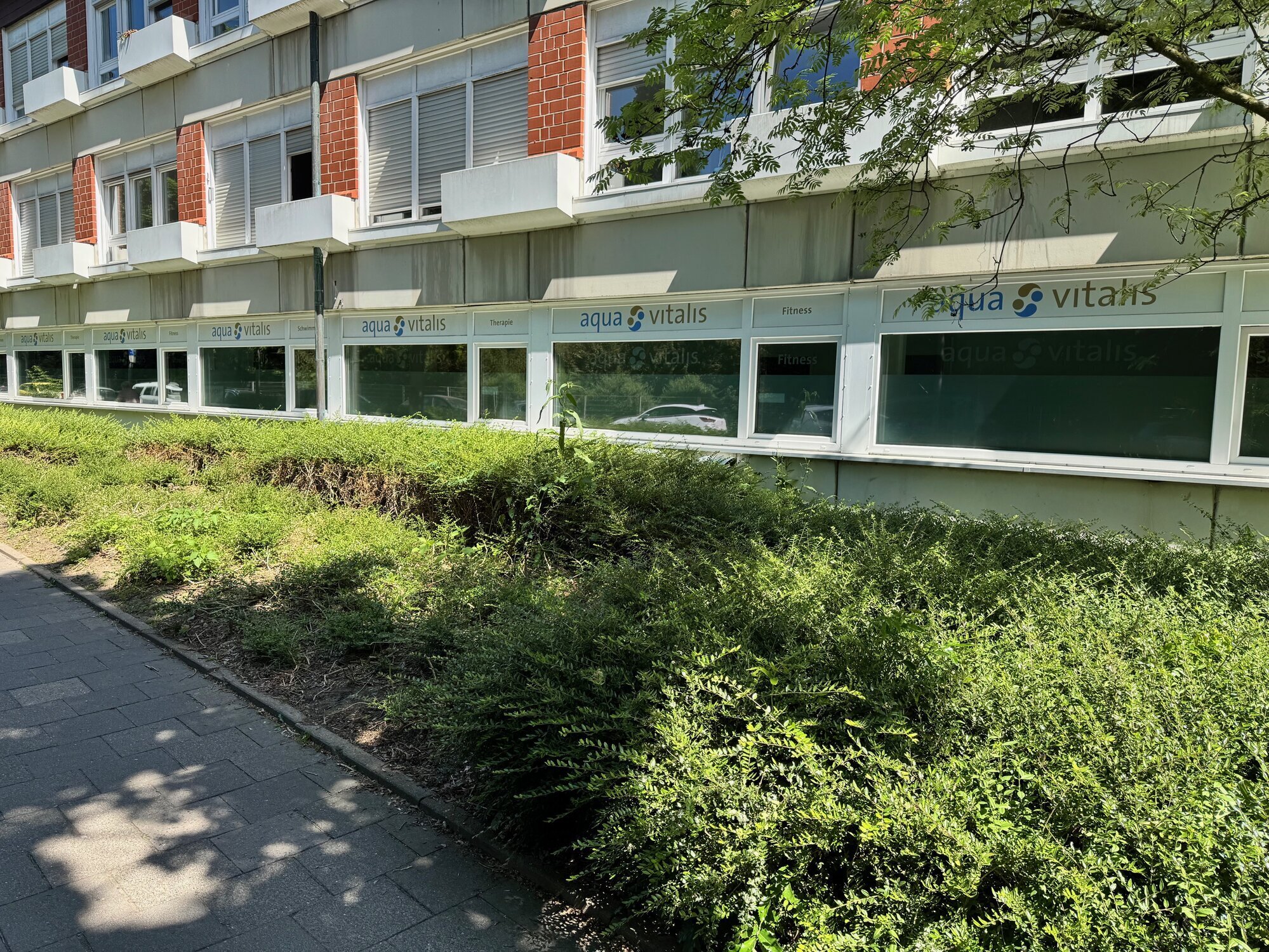 Bilder aqua vitalis Physiotherapie Schwimmschule Fitness & Entspannung