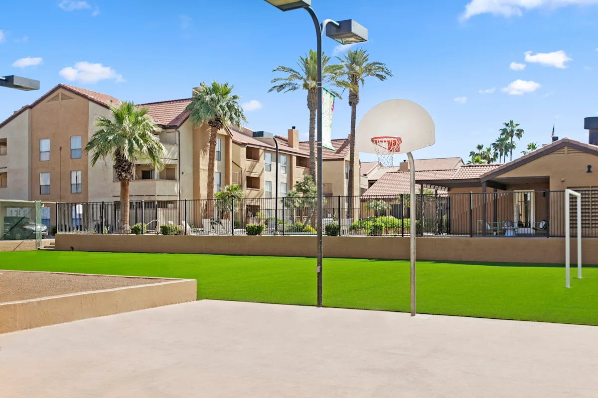 Basketball Court