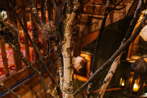 Images Lake Placid Lodge