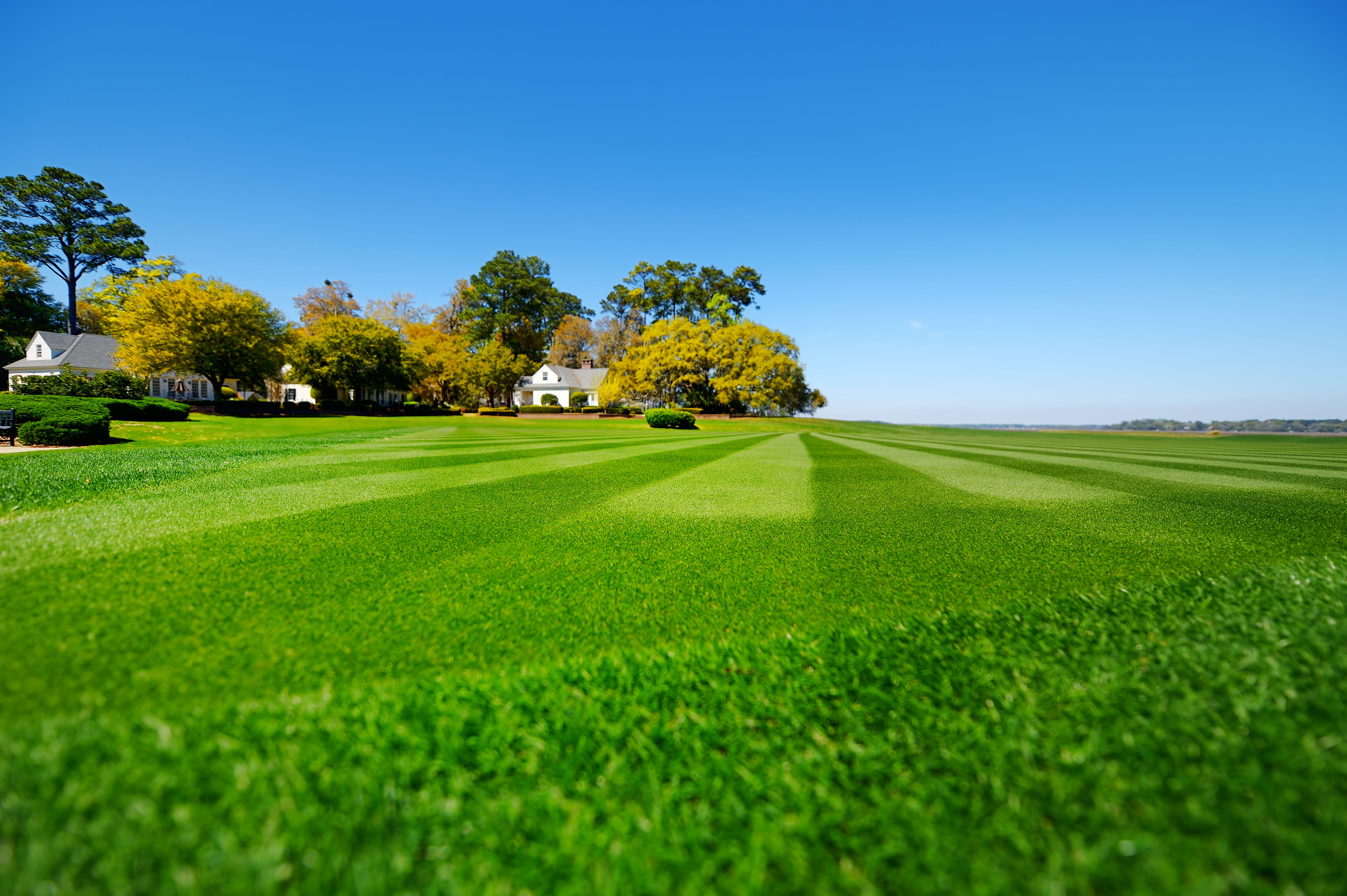 Executive Lawn Care 4
