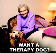 Want a therapy dog?