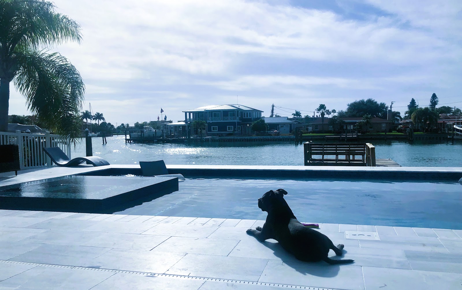 Waterfront pool deck overlooking a canal, with a dog relaxing beside the pool and scenic residential water views.