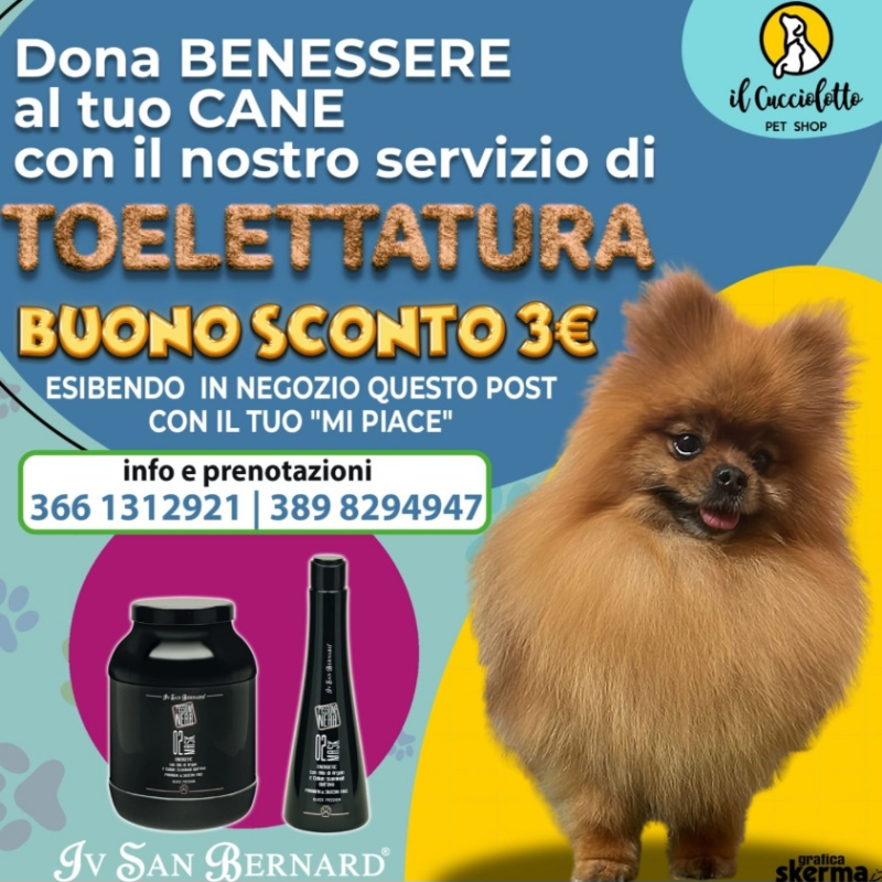 Images Il Cucciolotto Pet Shop e toelettatura