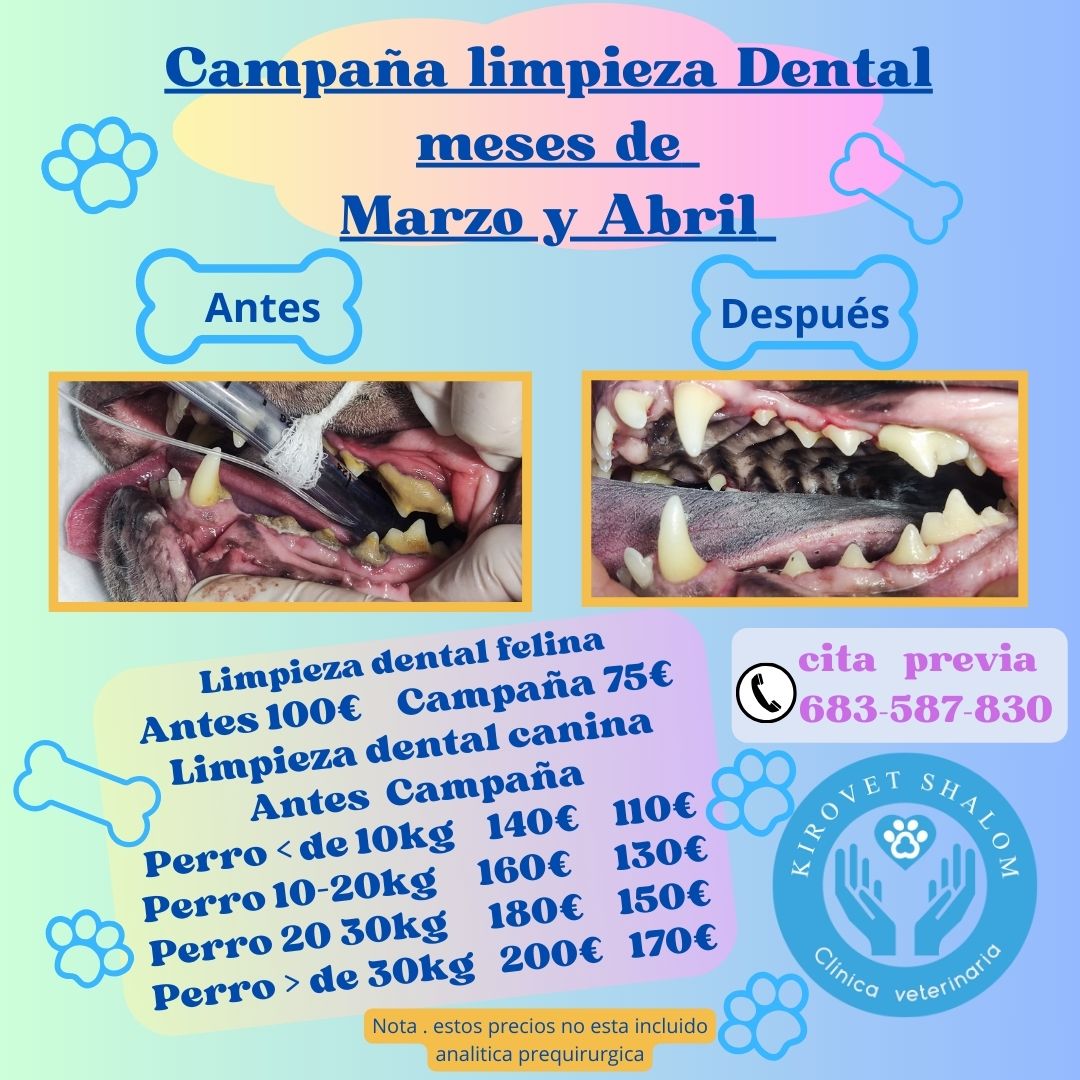 Images Clínica Veterinaria Kirovet Shalom S.L.