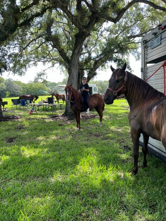 Images Events, Horses & More, Corp.