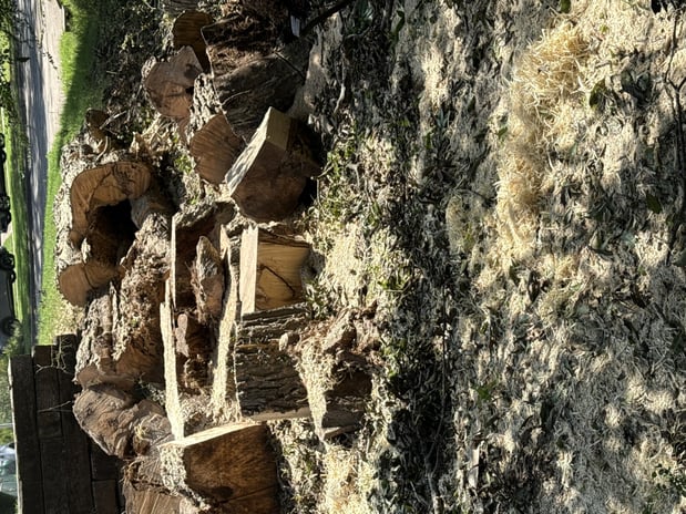 Images Sal's Landscape & Tree Service