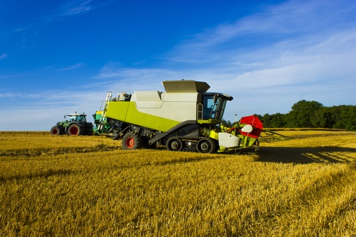 Images Joni Paaluharju