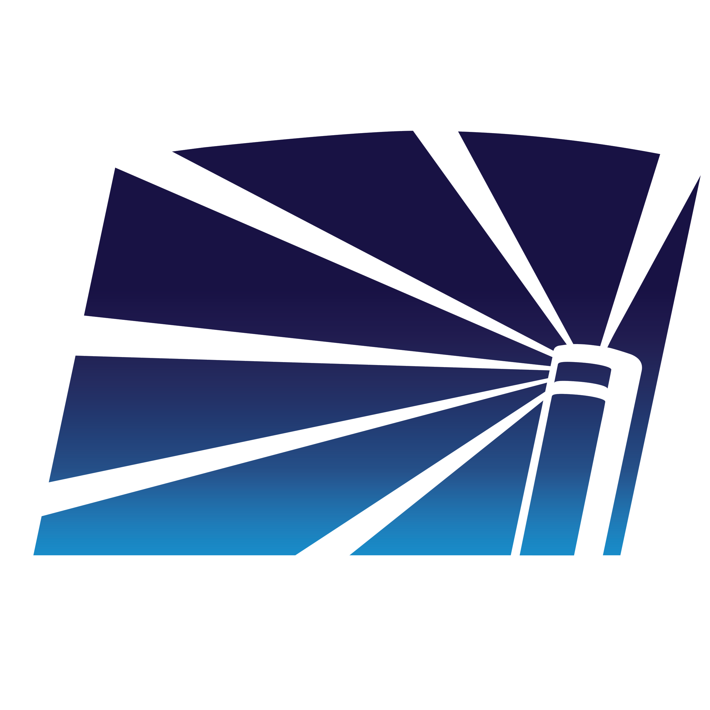 Naiad Irrigation Systems Ltd
