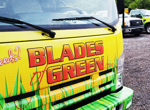 Images Blades of Green