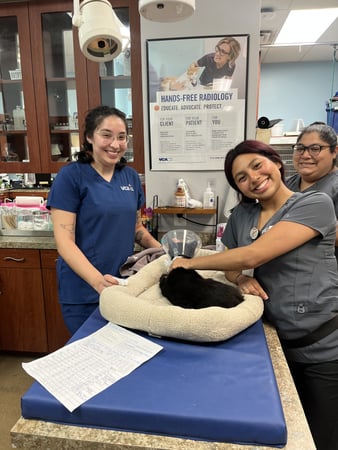 Images VCA Oak Hills Animal Hospital