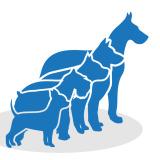 PREMIER PACK DOG TRAINING Logo