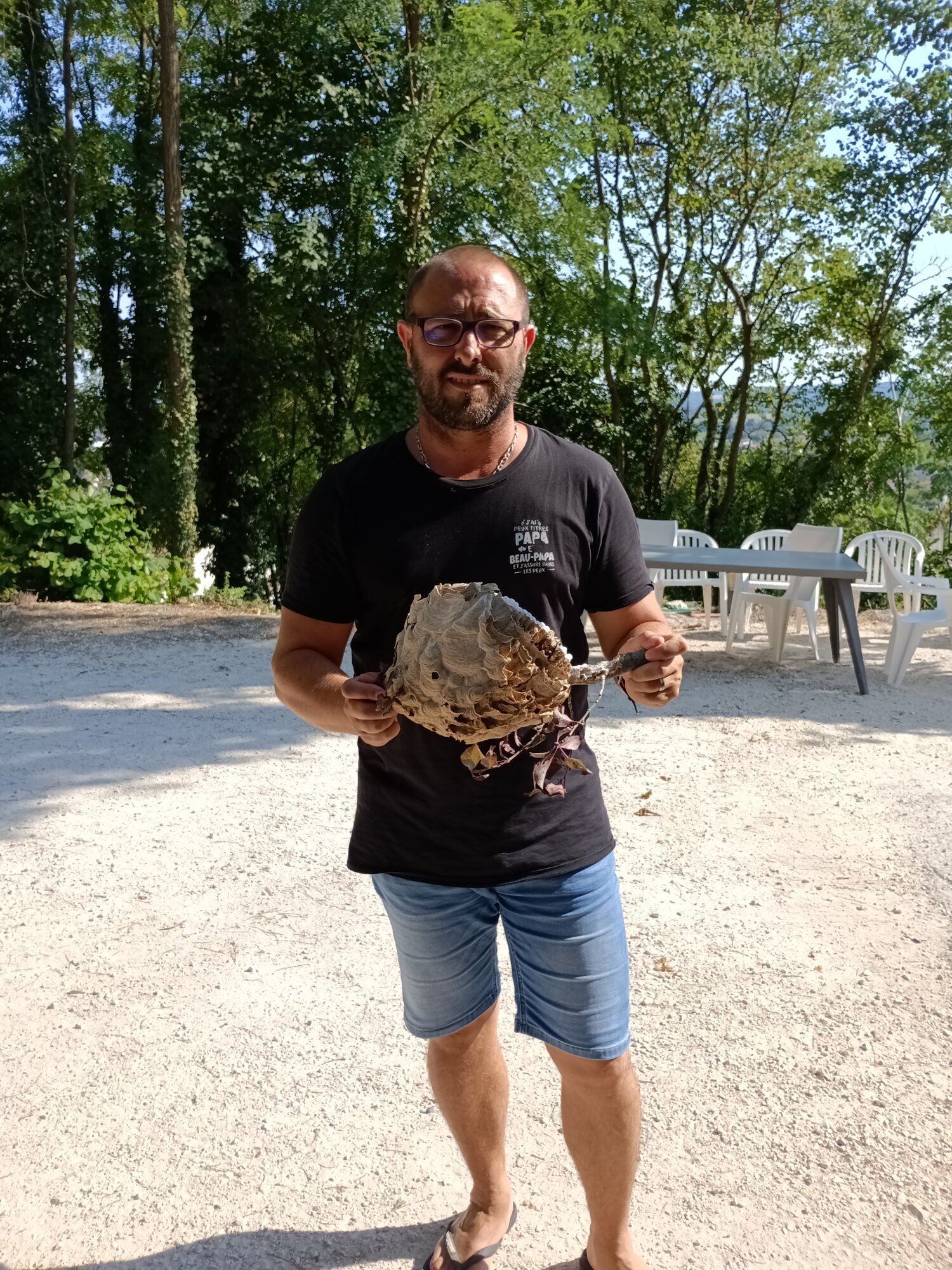 Images CLG Nuisibles-Guêpes-Frelons