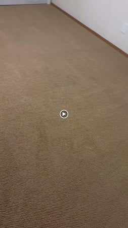 Images Glow-Shine Carpet Cleaning